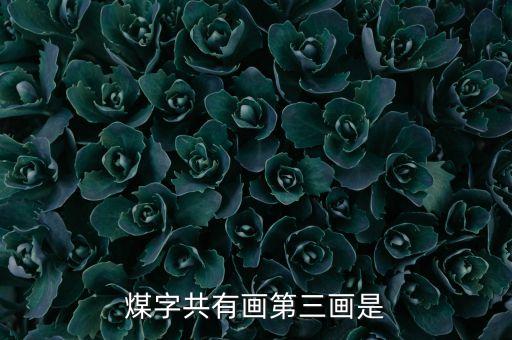 煤字共有畫(huà)第三畫(huà)是