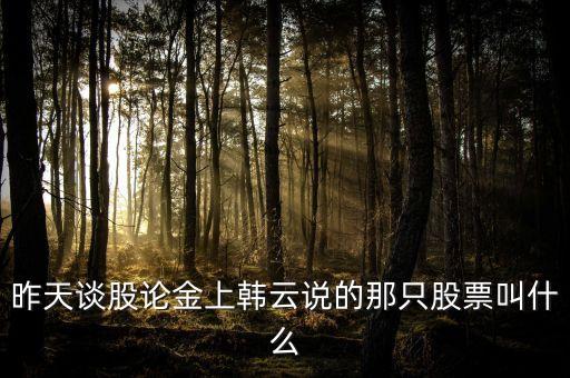 昨天談股論金上韓云說的那只股票叫什么