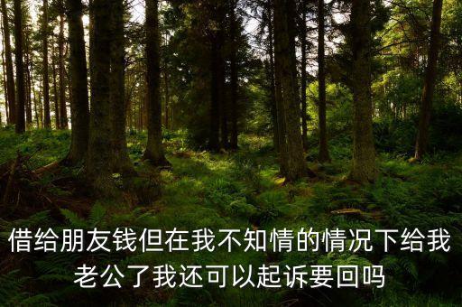 濫訴是什么意思，法律適用股東濫訴 這兩個法律術語用英語怎么說