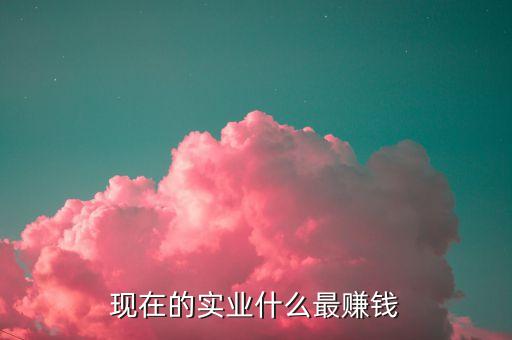 現(xiàn)在的實業(yè)什么最賺錢
