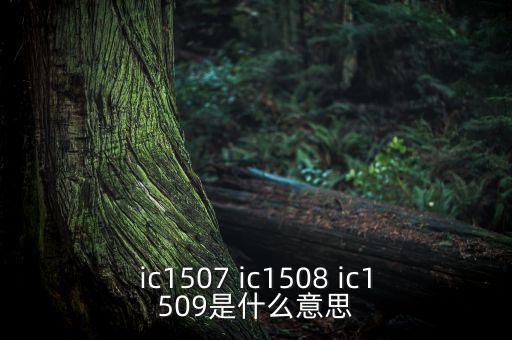 ic1507 ic1508 ic1509是什么意思