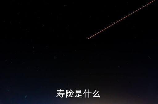 壽險(xiǎn)是什么