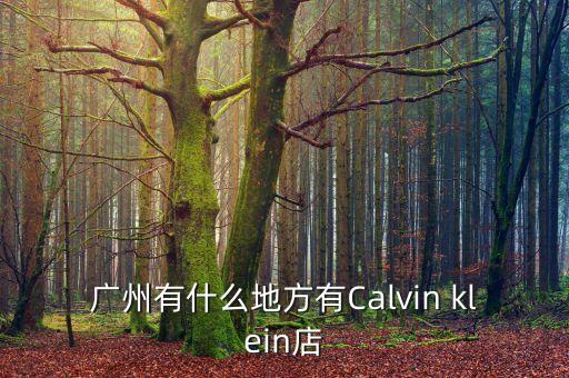 廣州有什么地方有Calvin klein店