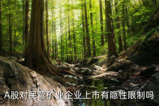 大中礦業(yè)為什么不上市，大中礦業(yè)上市成功了嗎大中礦業(yè)股票代碼