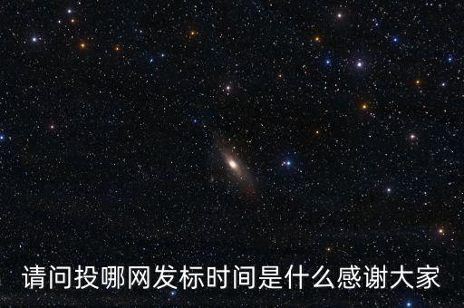 請(qǐng)問投哪網(wǎng)發(fā)標(biāo)時(shí)間是什么感謝大家