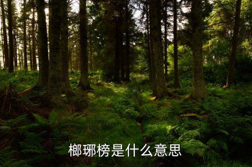 榔琊榜是什么意思