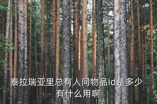 ic1505是什么，泰拉瑞亞里總有人問物品id是多少 有什么用啊
