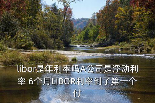 libor是年利率嗎A公司是浮動利率 6個月LIBOR利率到了第一個付