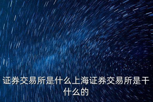 證券交易所是什么上海證券交易所是干什么的
