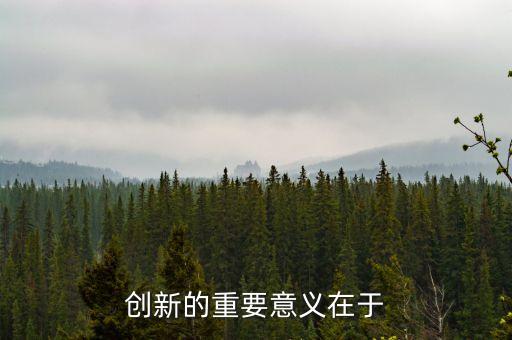 創(chuàng)新的重要意義在于