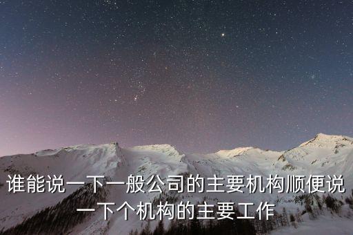 什么是非職工代表，請問我們公司之前是有兩名股東分別任命一人為總經(jīng)理執(zhí)行董事