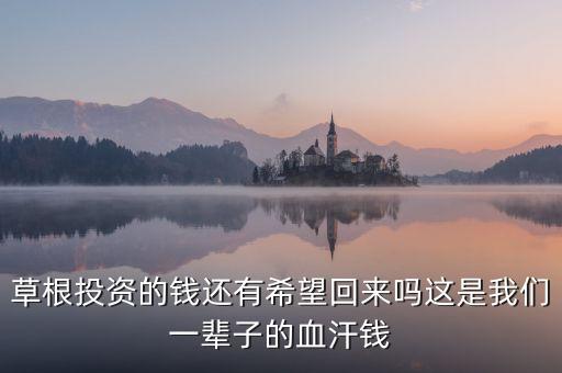 草根投資的錢還有希望回來嗎這是我們一輩子的血汗錢
