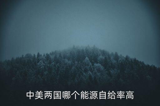中美兩國哪個(gè)能源自給率高