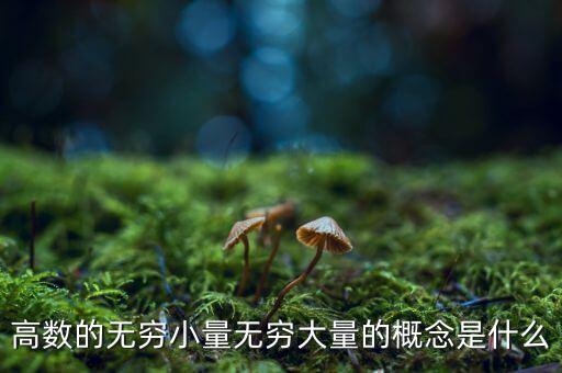 高數(shù)的無窮小量無窮大量的概念是什么