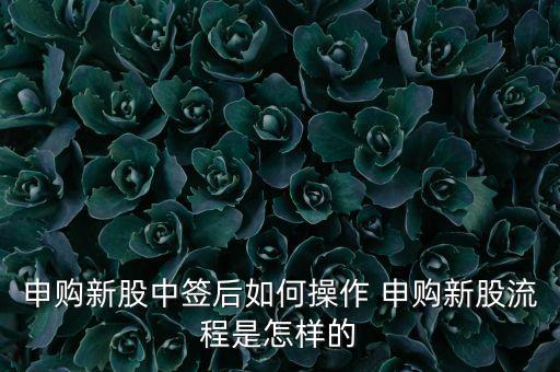 申購新股中簽后如何操作 申購新股流程是怎樣的