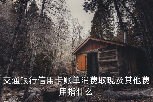 交通銀行信用卡賬單消費(fèi)取現(xiàn)及其他費(fèi)用指什么