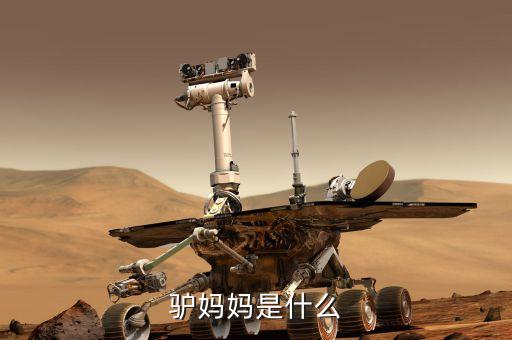 驢媽媽是什么模式，驢媽媽是什么