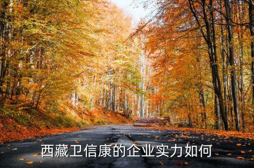 西藏上市公司12家都有什么，云掌財經(jīng)有西藏上市公司增至12家 總市值超千億元的詳細介紹嗎