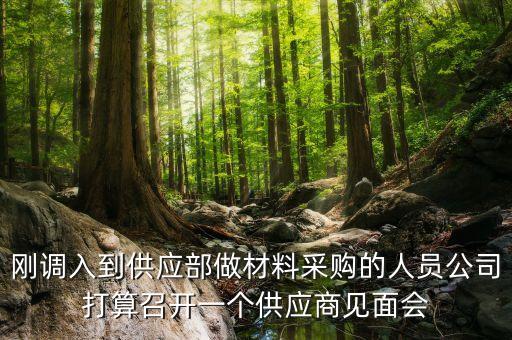 剛調(diào)入到供應(yīng)部做材料采購的人員公司打算召開一個供應(yīng)商見面會
