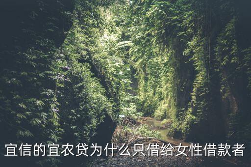 宜信的宜農(nóng)貸為什么只借給女性借款者