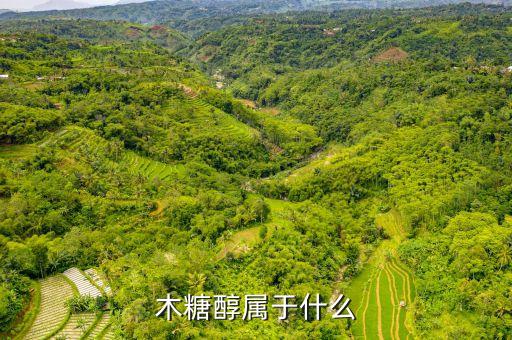 木糖醇屬于什么