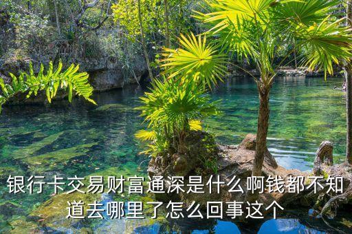 銀行卡交易財富通深是什么啊錢都不知道去哪里了怎么回事這個