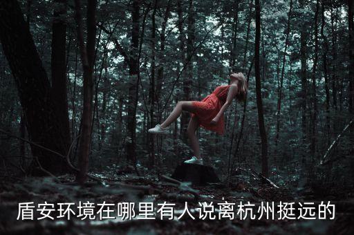 盾安環(huán)境是做什么，盾安環(huán)境工作怎么樣