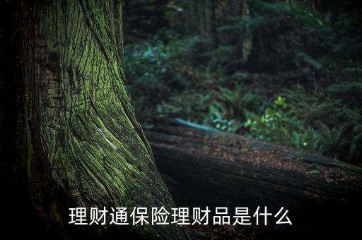 理財(cái)通保險(xiǎn)理財(cái)品是什么