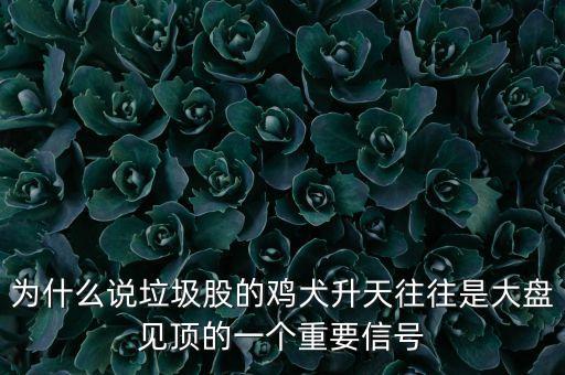 什么是垃圾股，cajviewer是什么