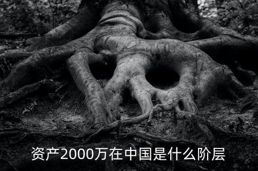 2000萬(wàn)存款是什么水平，資產(chǎn)2000萬(wàn)在中國(guó)是什么階層