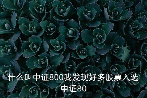 什么叫中證800我發(fā)現(xiàn)好多股票入選中證80
