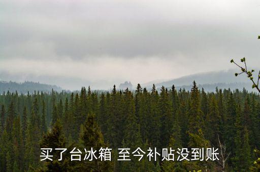 買了臺冰箱 至今補貼沒到賬
