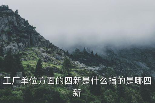 四新企業(yè)是什么，工廠單位方面的四新是什么指的是哪四新