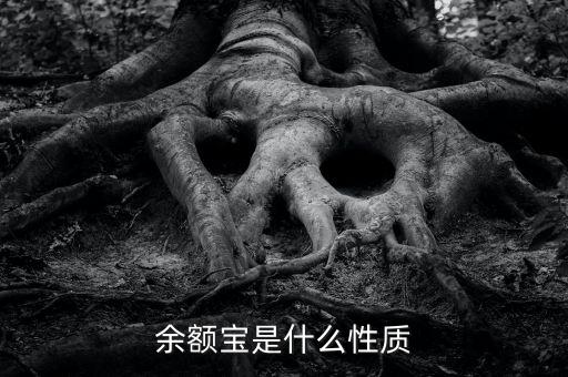 余額寶屬于什么產品，余額寶是什么性質