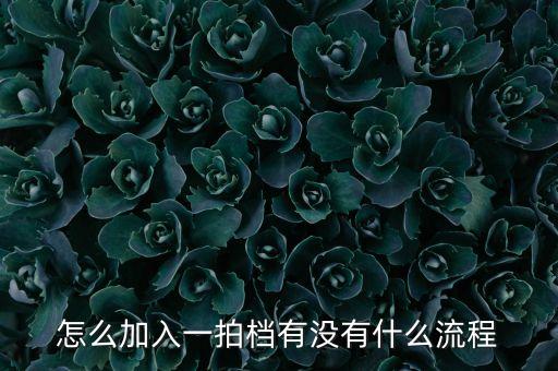 怎么加入一拍檔有沒有什么流程