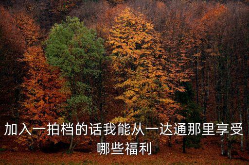 加入一拍檔的話我能從一達通那里享受哪些福利