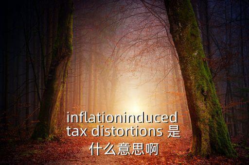 什么是扭曲稅收，inflationinduced tax distortions 是什么意思啊