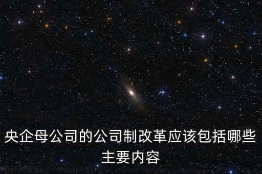 央企母公司的公司制改革應該包括哪些主要內容