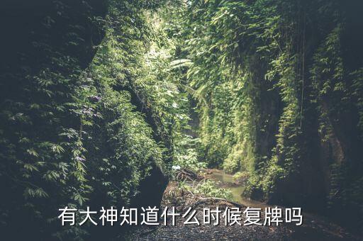 有大神知道什么時(shí)候復(fù)牌嗎