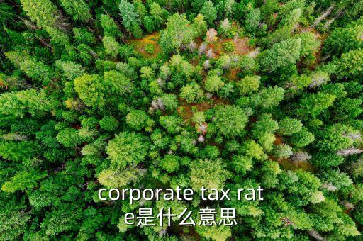 什么是聯(lián)邦預算，corporate tax rate是什么意思
