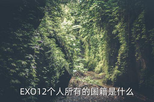 EXO12個人所有的國籍是什么