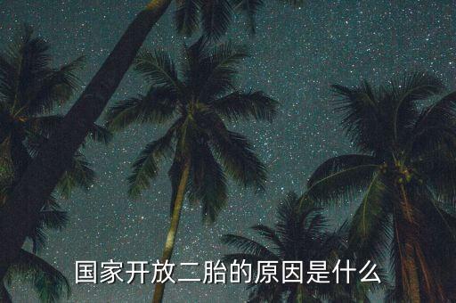 國家開放二胎的原因是什么