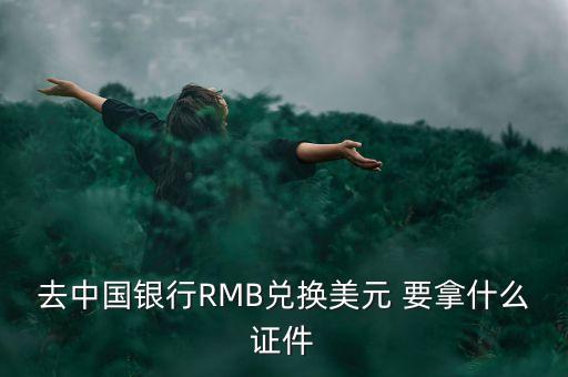 兌換美元需要什么手續(xù)，去中國銀行RMB兌換美元 要拿什么證件