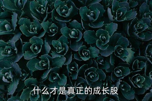 什么才是真正的成長(zhǎng)股