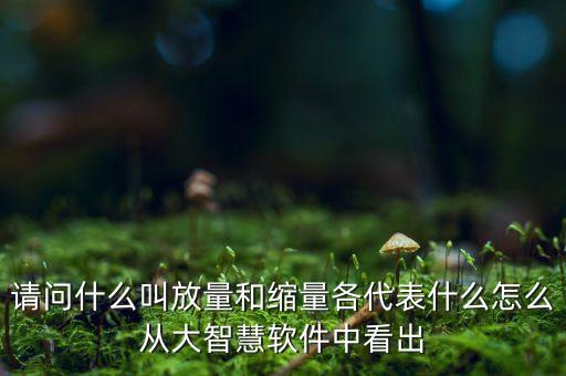 什么是放量和縮量圖片，請(qǐng)問(wèn)什么叫放量和縮量各代表什么怎么從大智慧軟件中看出