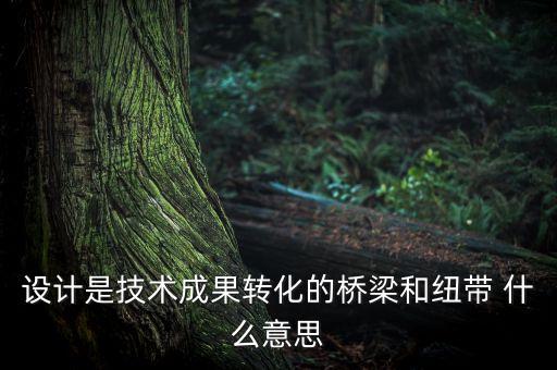 設(shè)計(jì)是技術(shù)成果轉(zhuǎn)化的橋梁和紐帶 什么意思
