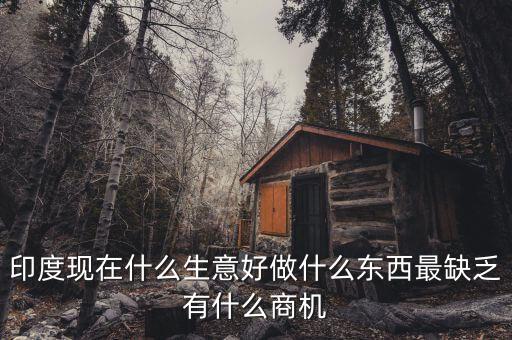 印度現(xiàn)在什么生意好做什么東西最缺乏有什么商機