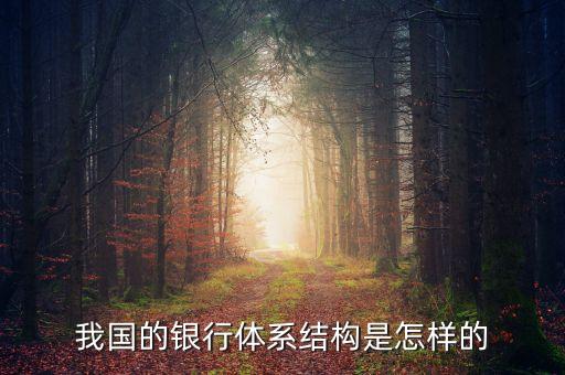 我國的銀行體系結(jié)構(gòu)是怎樣的