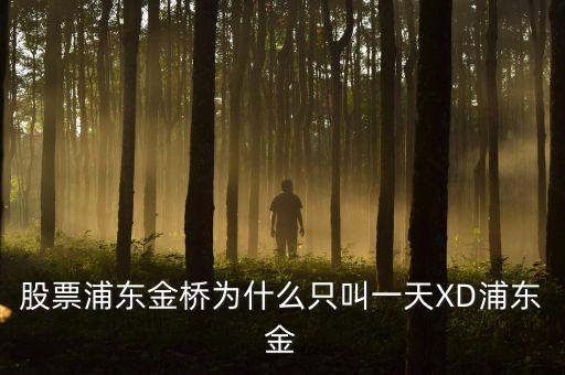 股票浦東金橋?yàn)槭裁粗唤幸惶靀D浦東金