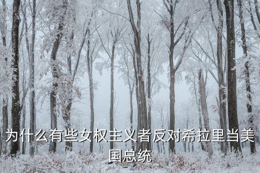 為什么有些女權(quán)主義者反對希拉里當(dāng)美國總統(tǒng)